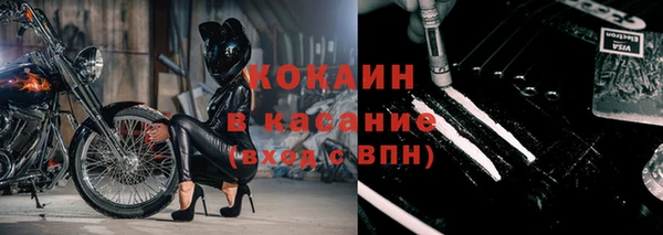 трава Аркадак