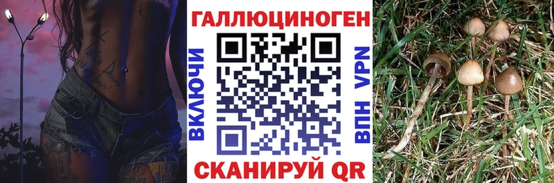 Галлюциногенные грибы мухоморы  Белинский 